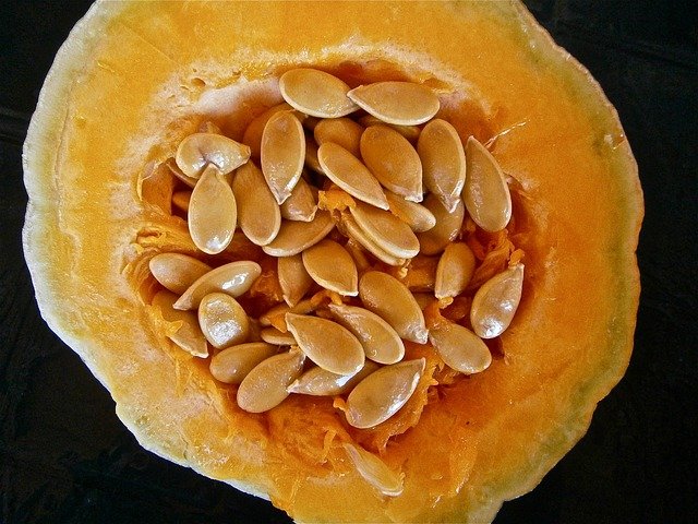 pumpkin, fruit, seed, vegetable, nature, pumpkin, pumpkin, pumpkin, pumpkin, pumpkin, seed, seed, seed, seed, seed